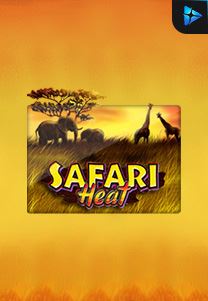 Bocoran RTP Safari Heat di ZOOM555 | GENERATOR RTP SLOT